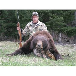 SPRING BLACK BEAR HUNT