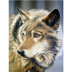 "WOLF PORTRAIT' ARTIST OF THE YEAR ENTRY WENDY MOORE