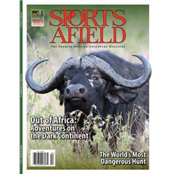 ADVERTISING IN SPORTS AFIELD - FULL PAGE OR EQUIVALENT