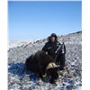 Image 1 : GREENLAND MUSKOX HUNT