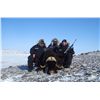 Image 2 : GREENLAND MUSKOX HUNT