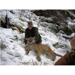 SOUTHERN BC COUGAR HUNT