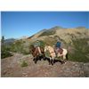 Image 4 : WILDERNESS ADVENTURE FOR 8