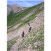 Image 7 : WILDERNESS ADVENTURE FOR 8