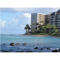 7 DAY HAWAIIAN VACATION