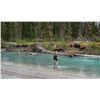 Image 3 : LAKE TROUT FISHING FOR 2 WITH BESA RIVER OUTFITTERS