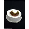 Image 1 : DUNGEONS & DRAGONS Half-Orc Teeth MOVIE PROPS