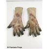 Image 1 : Season of the Witch Prosthetic Hand