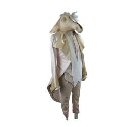 Mirror Mirror Donkey Costume