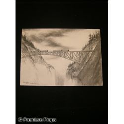 Goldeneye Pencil Sketch