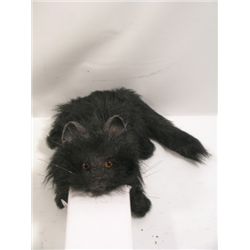 Hocus Pocus Cat Prop