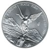 Mexican Silver Libertad 5 Ounce 2010