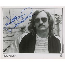 The Eagles: Joe Walsh