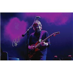 Phish: Trey Anastasio