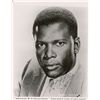 Image 1 : Sidney Poitier