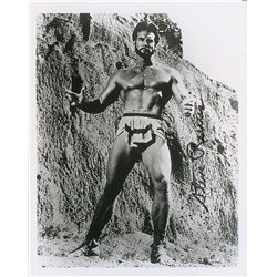 Steve Reeves