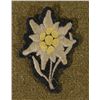 Image 1 : ORIG SS UNIFORM EDELWEISS MOUNTAIN TROOPS CLOTH INSIG