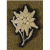 Image 2 : ORIG SS UNIFORM EDELWEISS MOUNTAIN TROOPS CLOTH INSIG