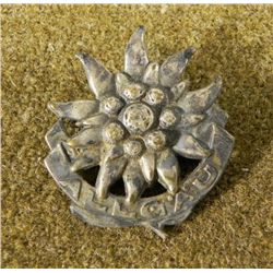 NAZI EDELWEISS "ALL GAU" MOUNTAIN DISTRICT PIN-ORIGINAL