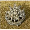 Image 1 : NAZI EDELWEISS "ALL GAU" MOUNTAIN DISTRICT PIN-ORIGINAL