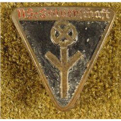 EARLY NAZI FRAUENSCHAFT MEMBERSHIP PIN RAISED INSIGNIA