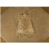 Image 3 : WWII PACIFIC THEATER BRASS CASE PINEAPPLE IN RELIEF