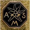 Image 1 : RARE NAZI-PERIOD ALPINE HUNTING ASSOC. MEMBERSHIP PIN