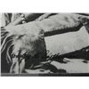 Image 3 : L.A. Huffman Vint Photograph Plenty Coups Crow Indian