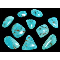 Non-Native Timberline Turquoise Stone Lot - 10 Stones - 300 Carat