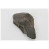 Image 1 : Fossil Tooth