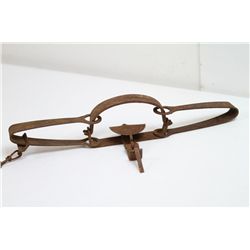 Victor Beaver Trap