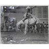 Image 1 : MSU Rodeo 1987 Signed Photograph
