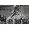 Image 3 : MSU Rodeo 1987 Signed Photograph
