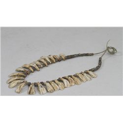 Native American Horse Teeth Necklace