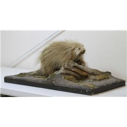 Porcupine Table Mount