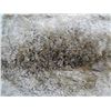 Image 10 : Native American Beaver Pelt Trade Quilt