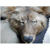 Image 11 : Black Grey Wolf Rug
