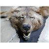 Image 9 : Black Grey Wolf Rug