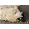 Image 12 : Polar Bear Rug by Jonas Brothers