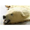 Image 13 : Polar Bear Rug by Jonas Brothers