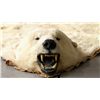 Image 17 : Polar Bear Rug by Jonas Brothers