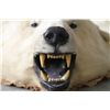 Image 18 : Polar Bear Rug by Jonas Brothers