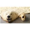 Image 22 : Polar Bear Rug by Jonas Brothers