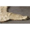 Image 5 : Polar Bear Rug by Jonas Brothers