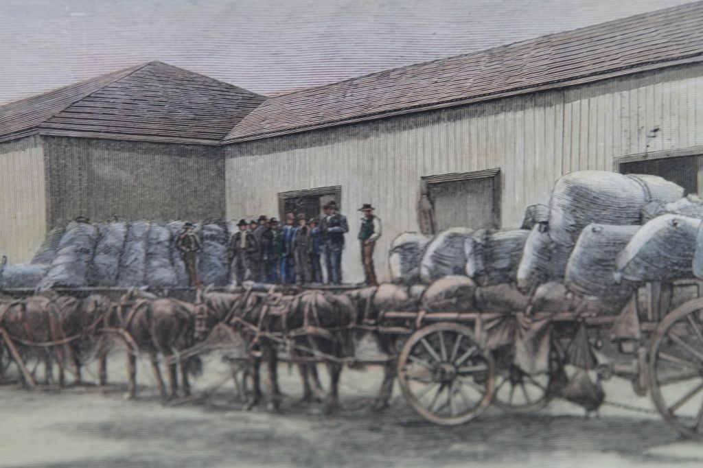"The Wool Industry of Montana" 1889 Hand Colored