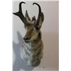 Image 3 : Antelope Mount