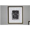 Image 5 : Rocky Hawkins Signed and Numbered