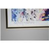 Image 8 : Rocky Hawkins Signed and Numbered