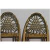 Image 3 : Rawhide Snow Shoes