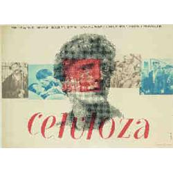 Wojciech Zamecznik: Celluloza